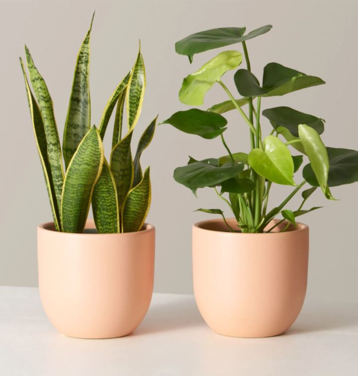 Sustainable Gift Guide: The Best Gifts of 2021