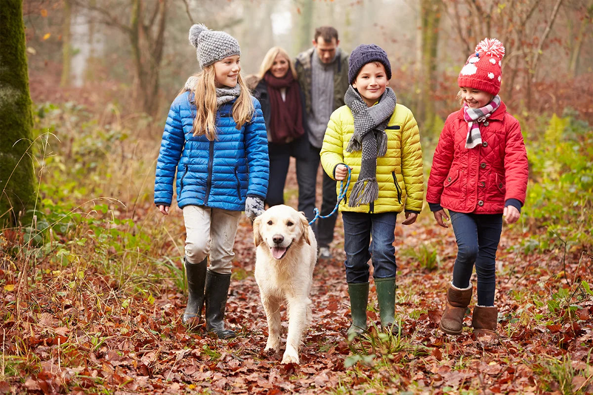 Caucasian family walking their dog in the forest in winter