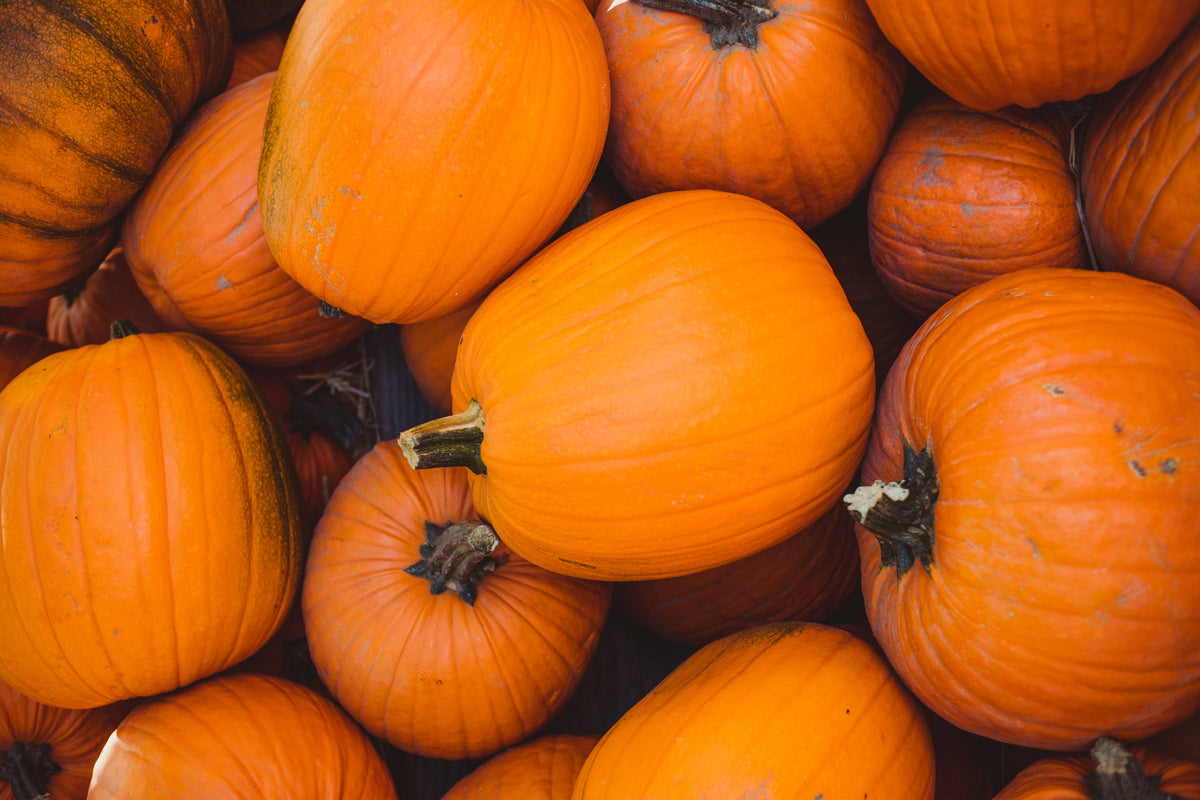 Pumpkin Carving for the Entire Family!