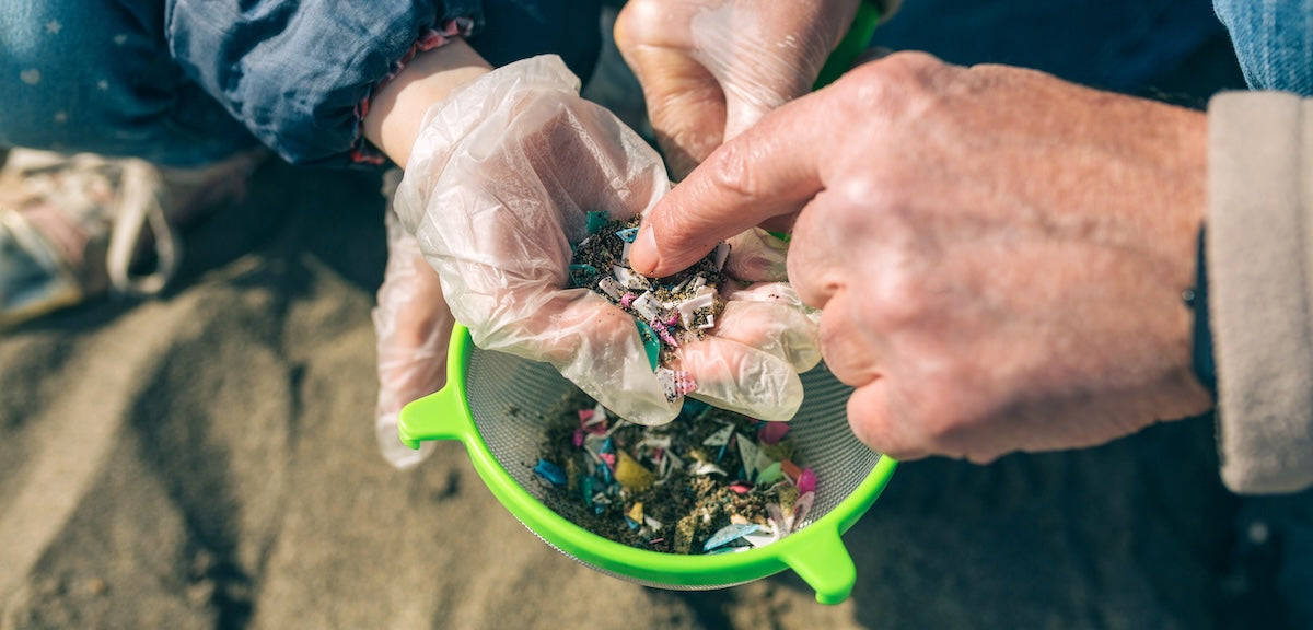 Volunteers at a beach cleanup collecting and examining microplastics