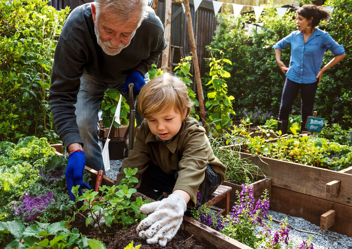  Elderly man helping young caucasian boy learn to garden