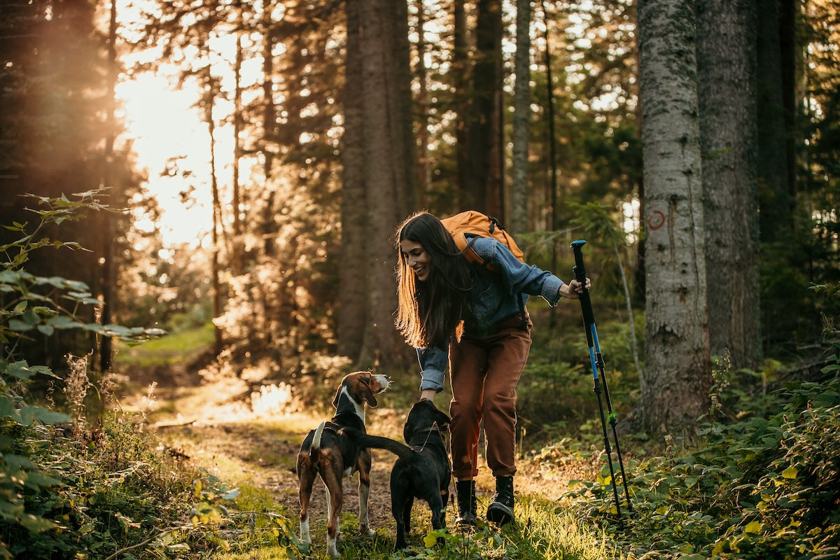 Young brunette woman taking on an early morning nature hike with her dogs